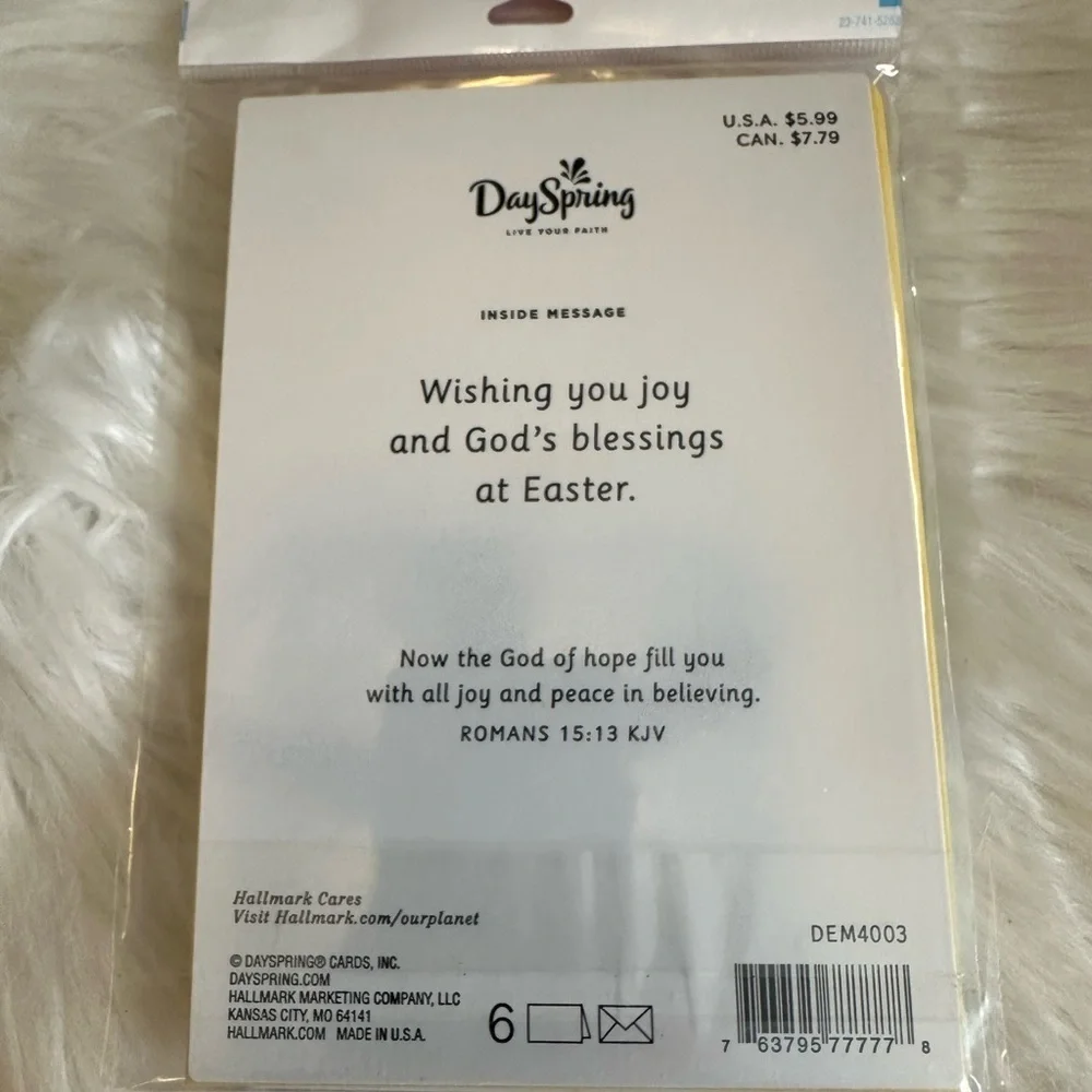 🩵5/$8 Set of 6 Easter Cards